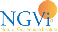 NGVi Logo