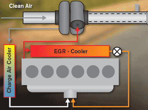 EGR System Graphic