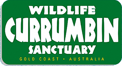 Currumbin Logo
