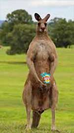 Kangaroo with potato chip bag