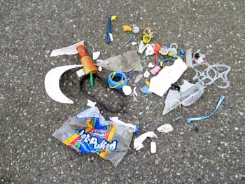 Collection of Debris