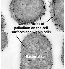 Nanoparticles