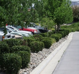 Landscaping Clean Gutter