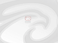 Nite-Hawk makes a Great Sweeper!