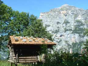 Rocks on Roof