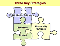 Three Key Strategies