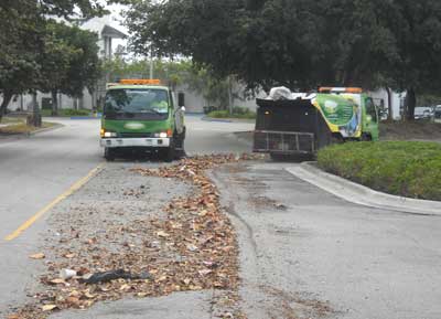 Sweepers picking up leaves