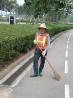 Lady Hand Sweeper